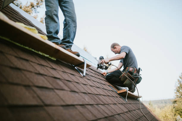 Best Chimney Flashing Repair  in Robertsville, NJ